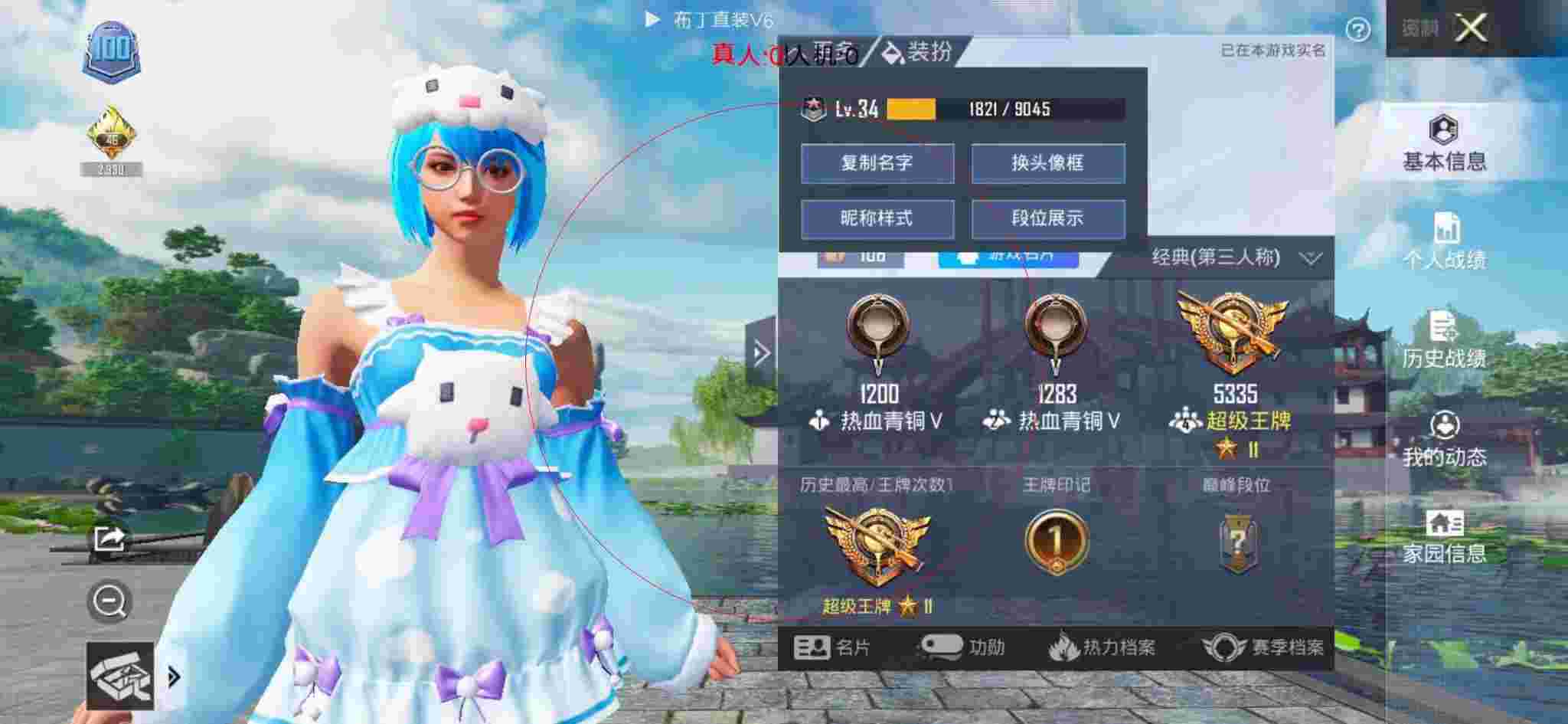 和平精英布丁直装透视 - 和平精英皮肤设计软件下载辅助预览图